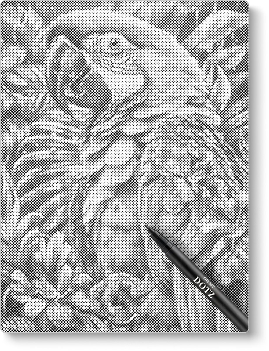 Papegaai | Stippelschilderij | 50x60cm  Meest gekozen | Dot painting | Oh My Dotz | One color dots | Diamond painting & Schilderen op nummer alternatief | Cadeau